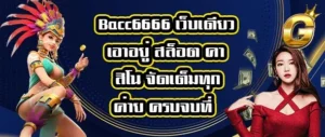 Bacc6666